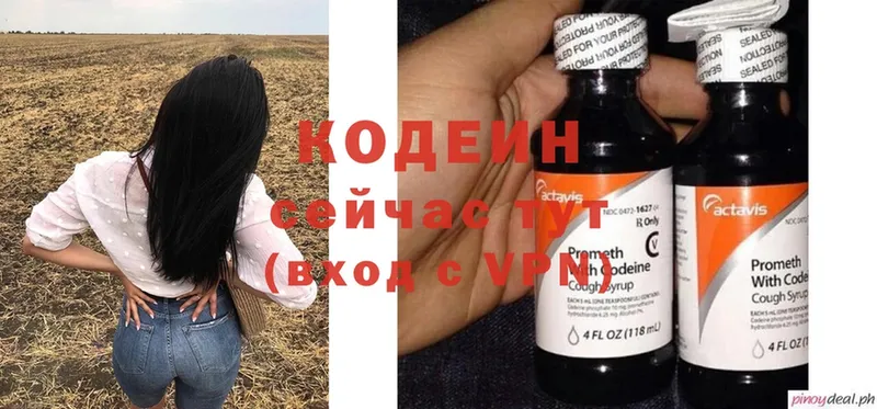 Кодеиновый сироп Lean Purple Drank  Старая Русса 