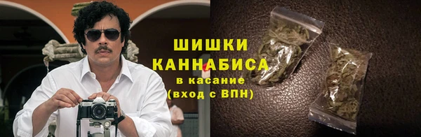 дмт Нея
