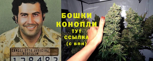 дмт Нея