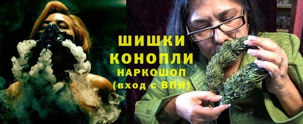 дмт Нея