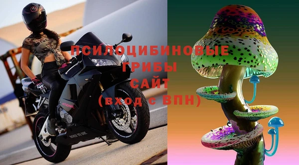 СК Нефтегорск