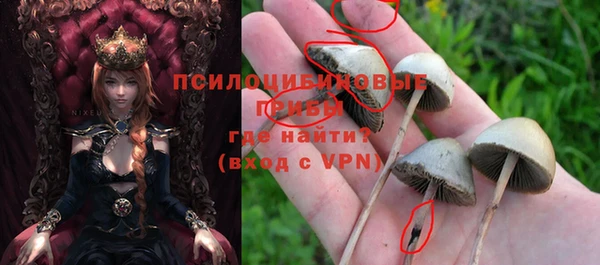крисы Валуйки