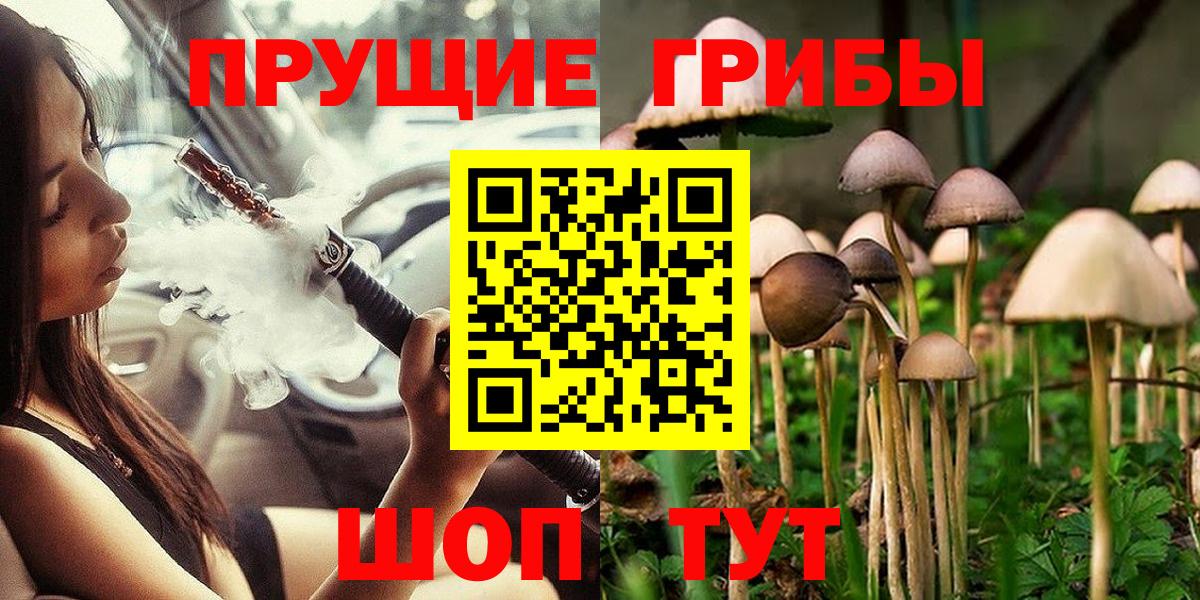Галлюциногенные грибы GOLDEN TEACHER Старая Русса
