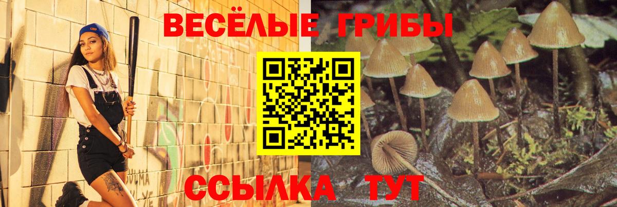 Старая Русса  где продают наркотики  Вход с VPN  Галлюциногенные грибы Psilocybine cubensis  Галлюциногенные грибы мицелий 