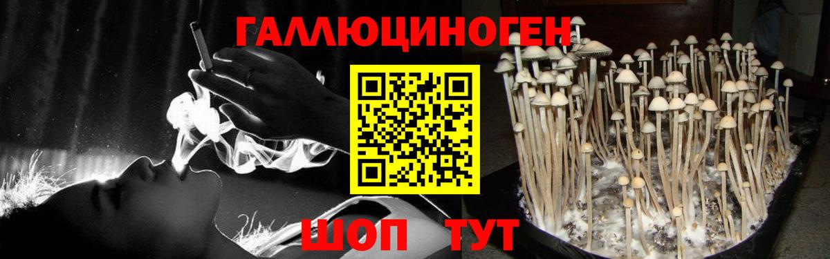 Галлюциногенные грибы Cubensis Старая Русса